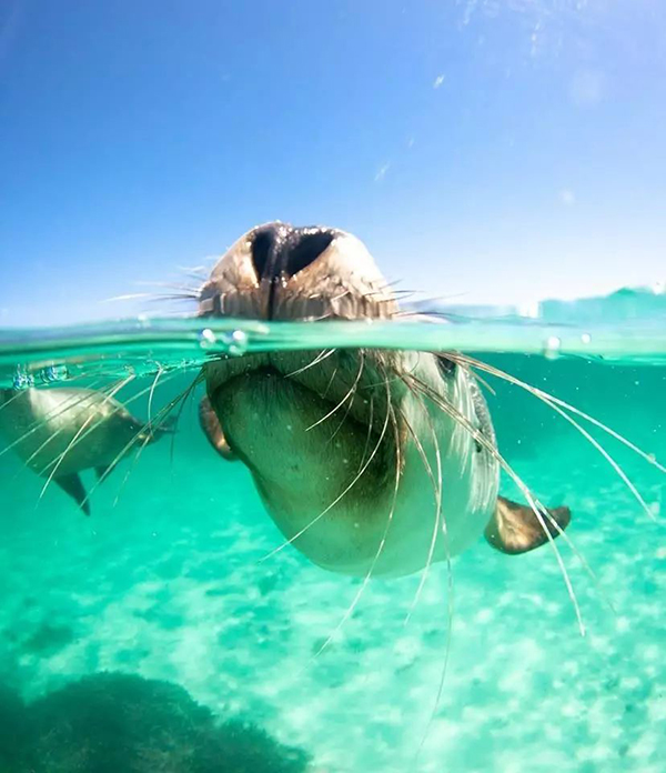 1610070079568911.jpg 301.jpg