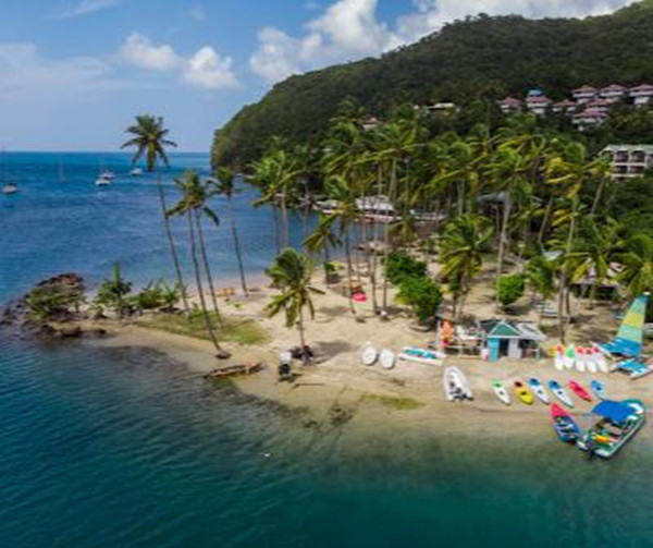 1610429195586717.jpg 5.jpg