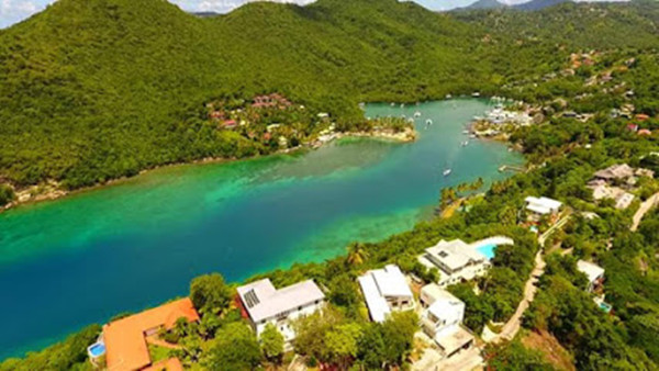 1610429206606884.jpg 6.jpg