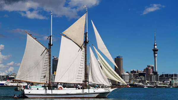 1610435217116154.jpg 1.jpg