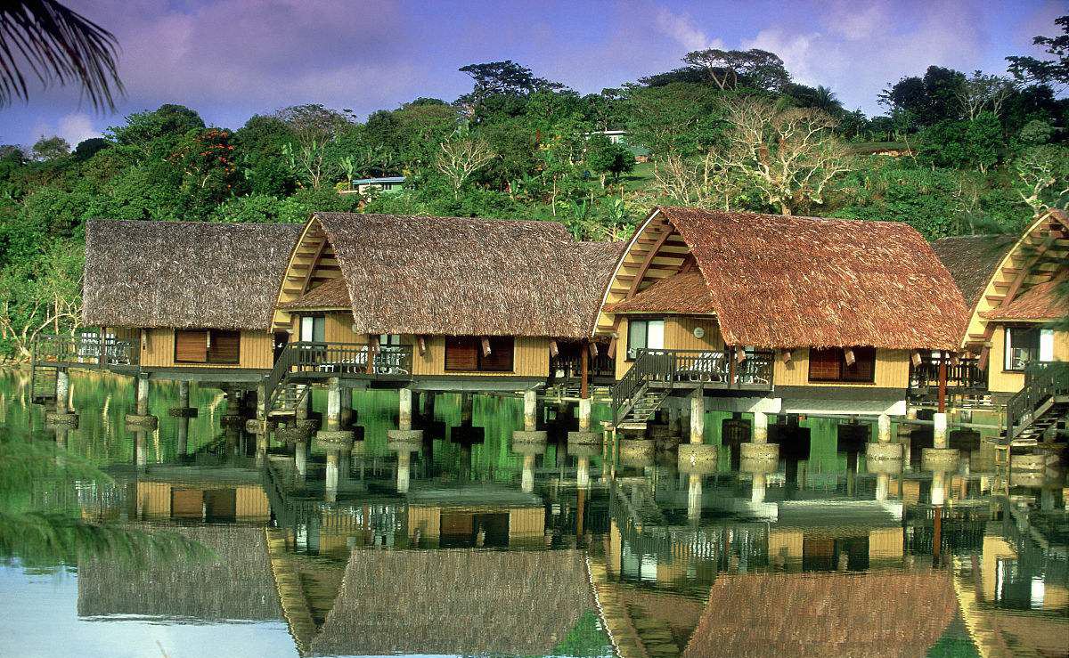 1611732620754993.jpg 1.jpg