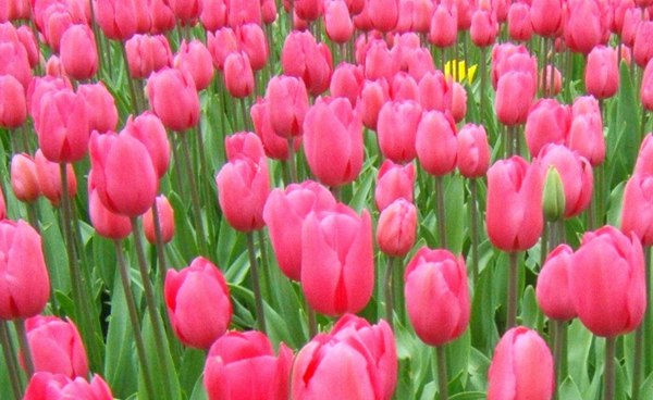 1611801800371362.png 7.png