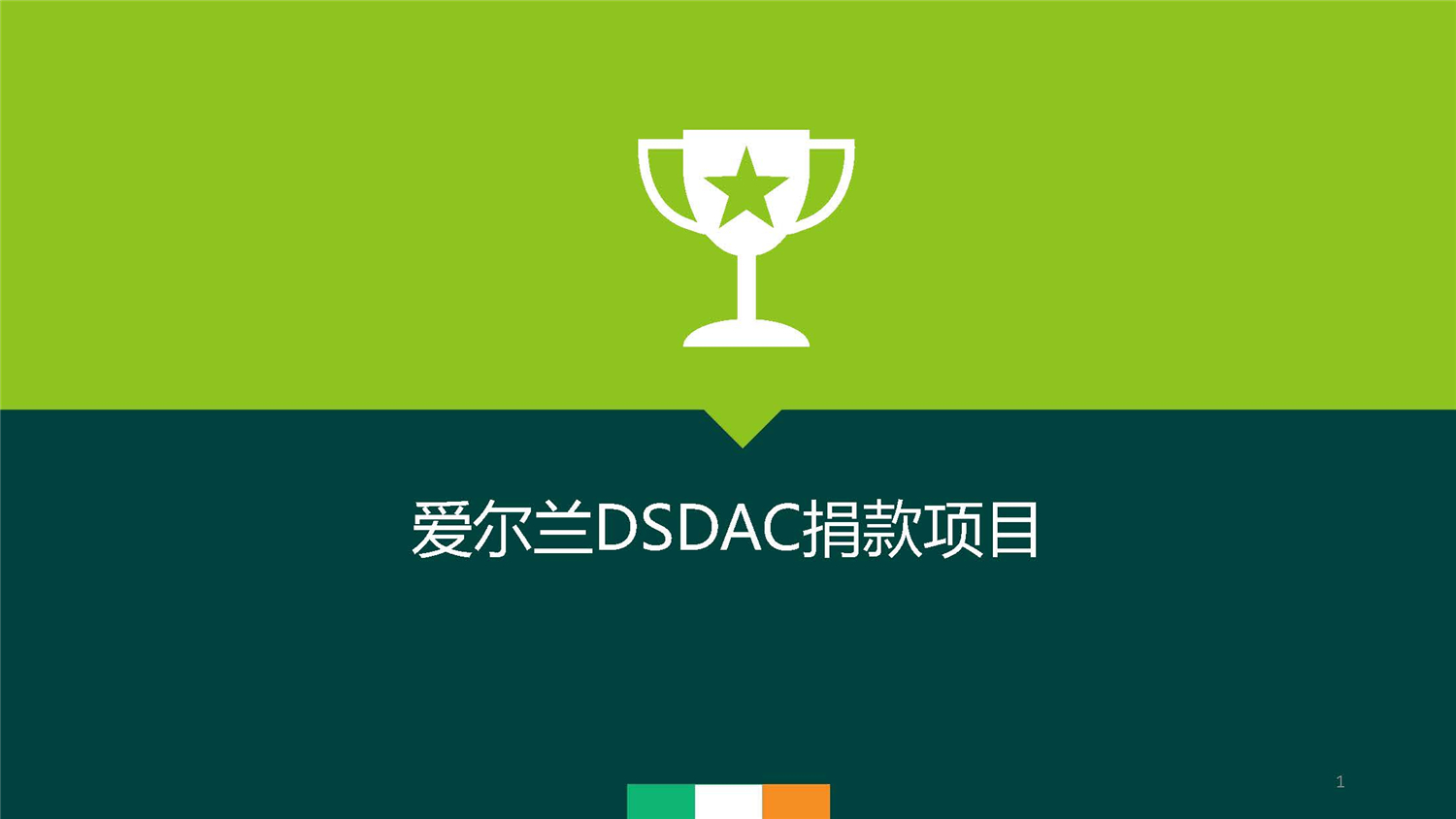 1、愛(ài)爾蘭DSDAC團(tuán)捐項(xiàng)目介紹_頁(yè)面_01.jpg