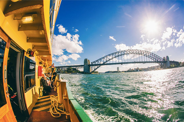 1612250665190160.jpg 29.jpg