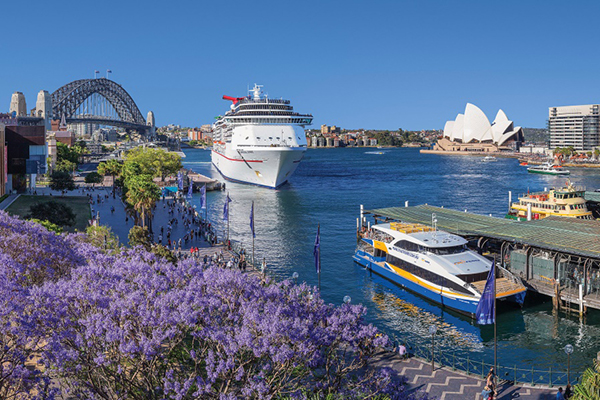 1612250743499689.jpg 32.jpg