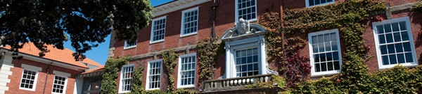 1615280343735125.jpg 2.jpg