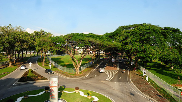 1615358668402293.jpg 2.jpg