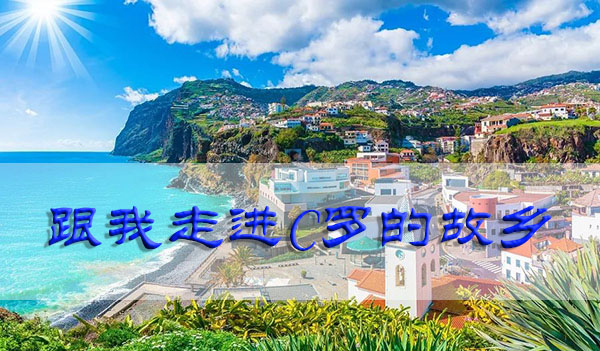 1615512519313026.jpg 1.jpg