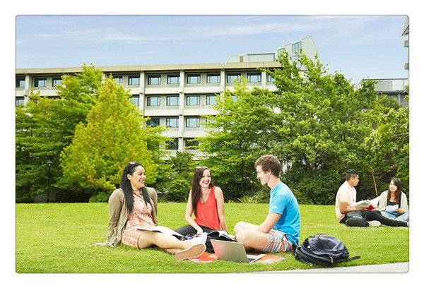 1617333087697293.jpg 7.jpg