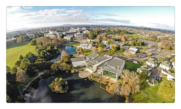 1617333118992025.jpg 9.jpg