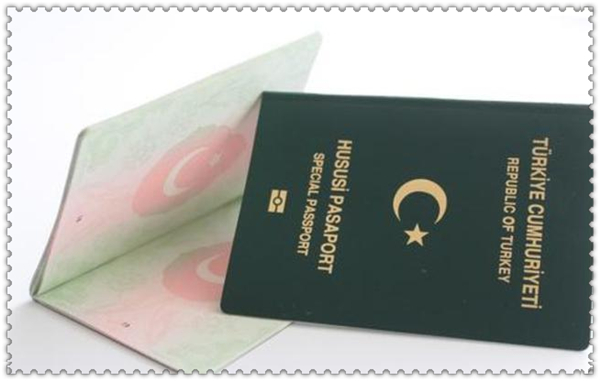 1619745944635246.jpg 3.jpg