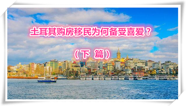 1620783682304221.jpg 1.jpg