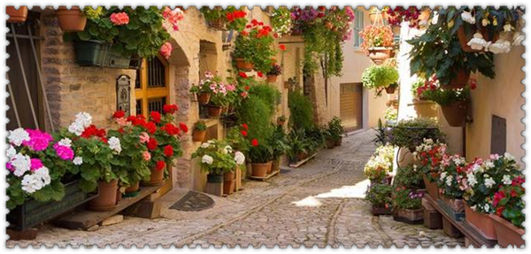 1621213243163431.jpg 3.jpg