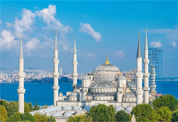 1625100540742397.jpg 微信圖片_20210701084744.jpg