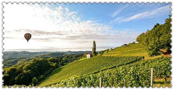 1625792430588454.jpg 3.jpg