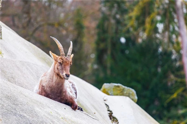 1627266237282638.jpg 微信圖片_20210726100548.jpg