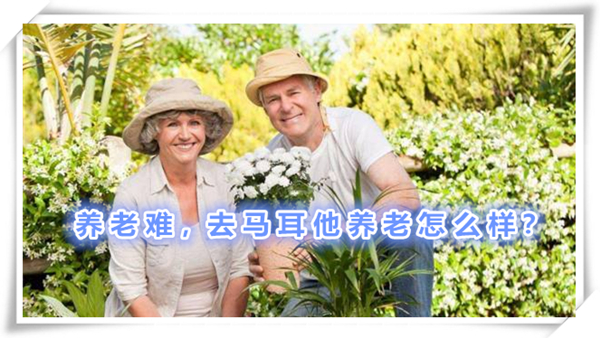 1628215086203374.jpg 1.jpg