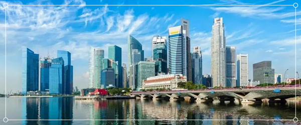 1634781801791296.jpg 2.jpg