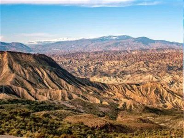 1639703868301362.jpg 微信圖片_20211217091346.jpg