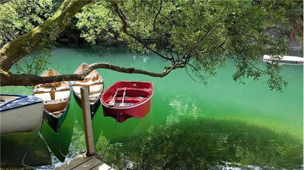 1663294937571309.jpg 微信圖片_20220916094720.jpg